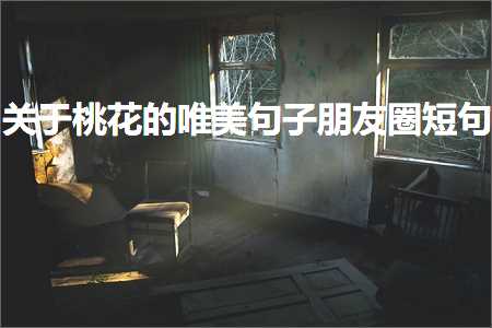 沈阳网站建设推广 关于桃花的唯美句子朋友圈短句（文案178条）